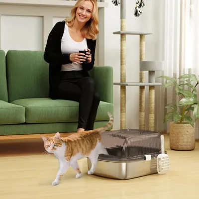 Produktbild von Katzentoilette Edelstahl, Katzenklo hoher Rand, mit Schaufel, für große Katzen, Kohlegrau | 53 x 42 x 27 cm | 1,7 kg | rostfrei