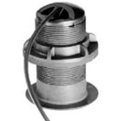 Image de Raymarine P319 P/dsm30 300 50 / 200 kHz
