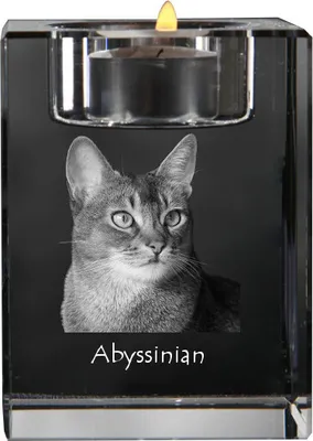 Imagen del producto de Art-Dog Portavelas para vela de té – Abisinio