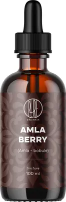 Immagine prodotto di BrainMax Pure® Tintura di bacche di Amla 1:2, 100 ml