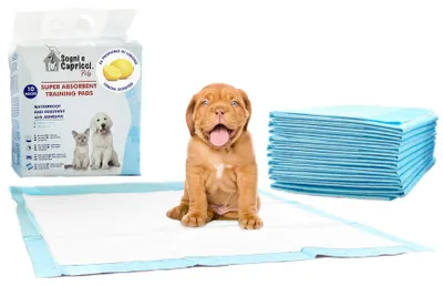 Zdjęcie produktu dla SOGNI E CAPRICCI PETS - Chłonna mata dla zwierząt, zapach cytrynowy, 1 opakowanie (80 sztuk)