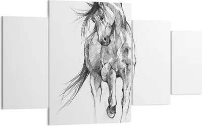 Produktbild von Bild auf Leinwand - Leinwandbild - 4 Teile - Pferd Galopp Tier - 160x90cm - Wand Bild - Wanddeko - Wandbilder - Leinwanddruck - Bilder - Wanddekoration - Leinwand bilder - Wandbild - DL160x90-5080