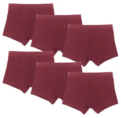 Produktbild von Bio-Baumwoll-Jungen Retroshorts-6er Pack