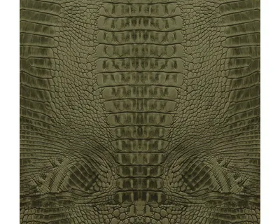 Produktbild von Origin Wallcoverings Fototapete Krokodil-Optik Moosgrün 300 x 279 cm