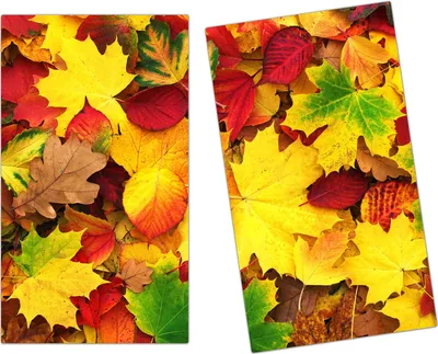 Produktbild von Spritzschutz Herdabdeckplatte Schneidebrett aus Glas Herbstblätter 2-Teilig (60x52cm)