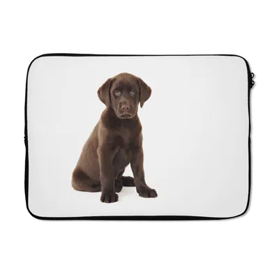 Produktbild von MuchoWow® Laptop Hülle 14 ZollSchokolade Labrador Welpe für weißen Hintergrund Laptoptasche - Laptoptasche - Stoßsicher - Schutzhaube