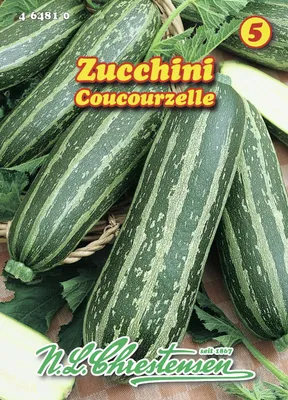 Zdjęcie produktu dla Cukinia Cocozelle firmy Tripolis | Nasiona cukinii firmy N.L. Chrestensen