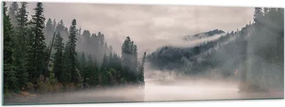 Produktbild von Bilder auf glas - Einteilig - Reflexion Nebel Landschaft - 160x50cm - Glasbilder - Wandbilder - Bilder - Wanddekoration aus Glas - Glas Bilder - Wandbild auf Glas - GAB160x50-4482