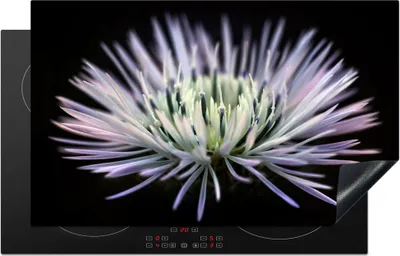 Produktbild von KitchenYeah© Herdabdeckplatte Blume - Lila - Hell , 85x52cm, Küche Deko, Glaskeramikkochfeld Herdabdeckung, Abdeckplatte fùr Kochfeld