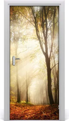 Produktbild von Tulup Türaufkleber 95x205 cm Dekorative Aufkleber Selbstklebend Wasserdichte Tapete Abnehmbar Schlafzimmer Wohnzimmer Wohnkultur - Wald im Herbst