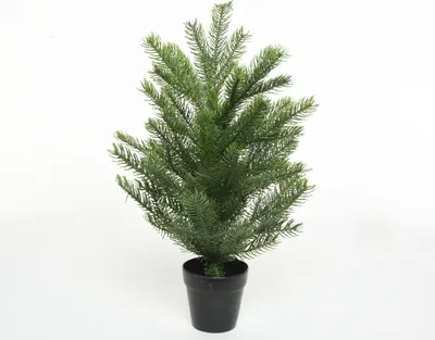 Productafbeelding van Grandis mini boom d63h90 cm groen Everlands