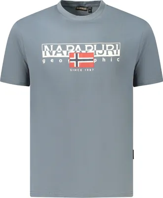 Produktbild von NAPAPIJRI KURZARM-T-SHIRT HERREN GRAU : Farbe - Grau, Größe - L Größe: L Farbe: Grau