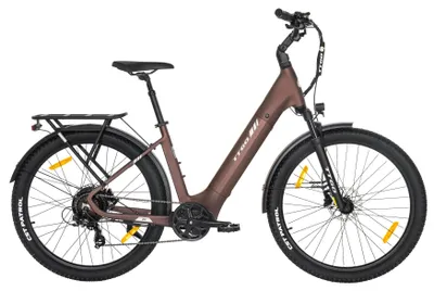 Zdjęcie produktu dla Rower elektryczny – City Pedelec – silnik bezszczotkowy 48 V, 250 W – zasięg ponad 60 km – maksymalna prędkość 25 km/h – dwuosobowy – aluminiowa rama – brązowy