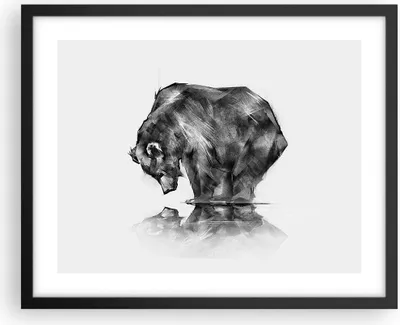 Produktbild von Gerahmtes Poster - Schwarzer Rahmen - Bär Tier - 50x40 cm - Wand Bild - Wanddeko - Wandbilder - Kunstposter - Wandposter - Bilderrahmen - Bilder - Kunstdruck - Wandbild - P2BAA50x40-3921