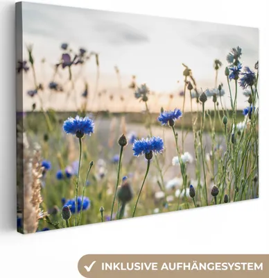 Produktbild von MuchoWow® - Leinwandbilder - Blumen - Sommer - Kornblume - Blau - Sonne - Wolken, Wandbild, Wanddeko Bilder Wohnzimmer, 30x20 cm