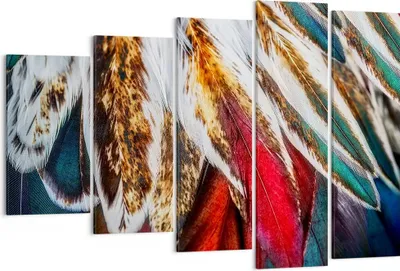 Produktbild von Bild auf Leinwand - Leinwandbild - Federn Federn Vogel - 150x100cm - Wand Bild - Wanddeko - Leinwanddruck - Bilder - Kunstdruck - Wanddekoration - Leinwand bilder - Wandkunst - EG150x100-3743