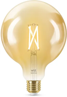 Obrázok produktu pre Žiarovka WiZ Amber 50 W G125 E27