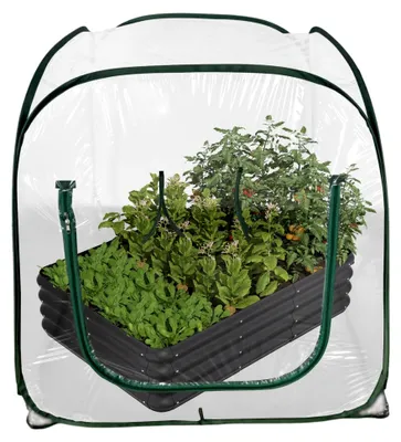 Produktbild von Gewächshäuser für den Außenbereich - Transparentes faltbares Mini-Pflanzenzelt, Mini-Gewächshaus - Für Gartenarbeit, Hinterhof, Kälte, Frost, Gefrieren, Terrasse