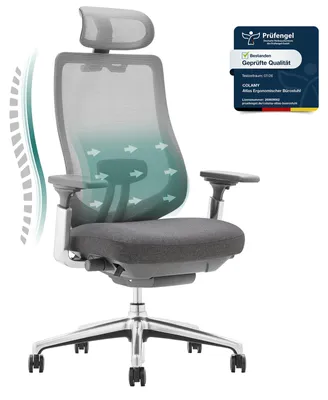 Image de COLAMY ATLAS Chaise de bureau ergonomique en maille - Fauteuil de direction avec appui-tête, accoudoirs 4D, assise coulissante et blocage de l'inclinaison, gris foncé