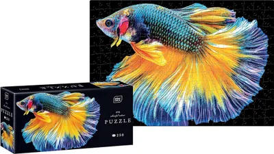 Zdjęcie produktu dla Puzzle 250 Colourful Nature 6 Fish - INTERDRUK