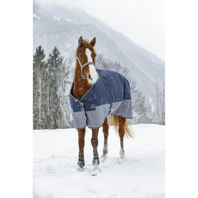 Produktbild von EQUITHÈME TYREX 600 D Decke, Outdoordecke, Winterdecke 150 g, Farbe:schwarz/gelb, Größe:Rückenlänge 115 cm Polyfil 150 g