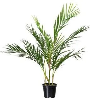 Produktbild von artplants.de Kunst Palme Areca YONNE, 70cm - Künstliche Arecapalme