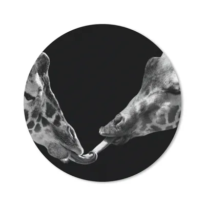 Produktbild von MuchoWow® Mauspad Mousepad Tiere - Schwarz - Giraffe - Weiß - Porträt 40x40 cm - Mousepads - Maus Mat - Pad - Mausunterlage - Schreibtisch Accessoires