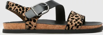 Produktbild von Blowfish Malibu J3441S1002 Lance Leopard 4415