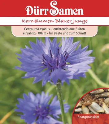 Produktbild von Dürr-Samen - Kornblumen Blauer Junge einjährig 80 cm - Saatgut - 0816