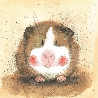 Produktbild von Notizbuch AC412 Meerschweinchen Gilbert – Alex Clark