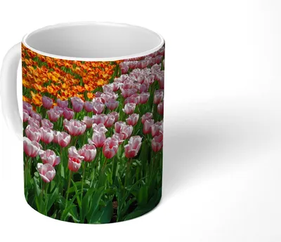 Produktbild von MuchoWow® Tasse Kaffeetasse Kaffeebecher 350 ml Bunte Tulpen auf dem Keukenhof Teetasse - Fototasse - Becher - Keramikbecher - Teebecher - Kaffeetasse - Bürotasse