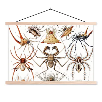 Produktbild von MuchoWow® Textilposter Retro - Spinne - Ernst Haeckel - Spinnen 120x80 cm mit holzfarbenen Rahmen - Aufhängeset