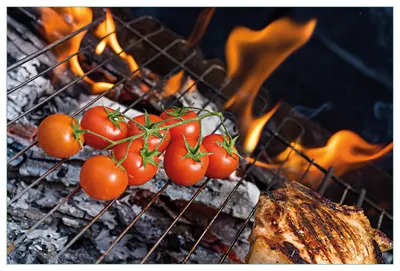 Produktbild von Wallario Küchenrückwand aus Glas, Größe: 90 x 60 cm, Motiv: Tomaten und Steak auf einem Grill | Spritzschutz | abwischbar | pflegeleicht | in