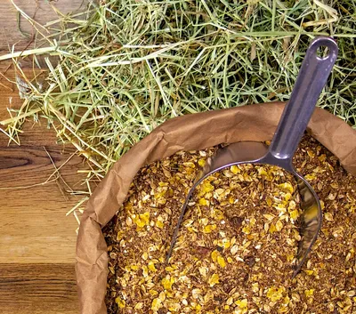 Produktbild von Deuka deukavallo Apfelmash Pferdemash für Pferde mit Apfelstücken und Leinöl, 15 kg