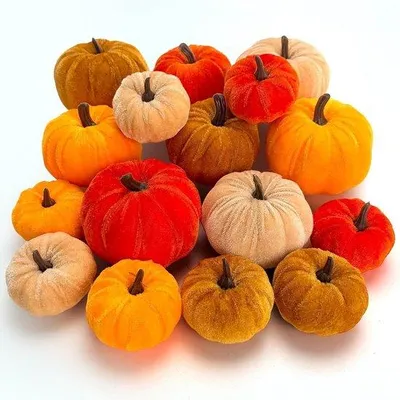 Productafbeelding van 16 Decoratieve fluwelen pompoenen