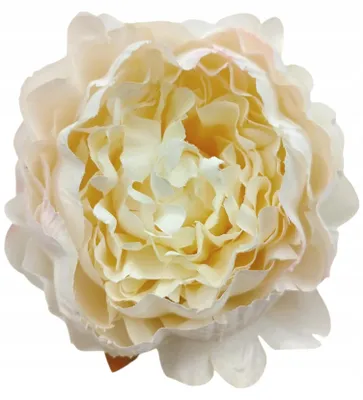 Image de Vipolimex Tête de piwonia artificielle décoration crème