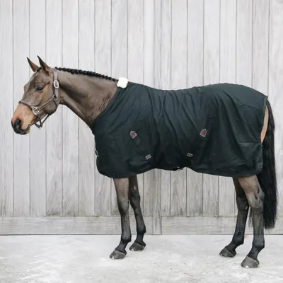 Produktbild von Kentucky Horsewear Abschwitzdecke Baumwolle Sheet Turnierdecke Transportdecke Schwarz 145