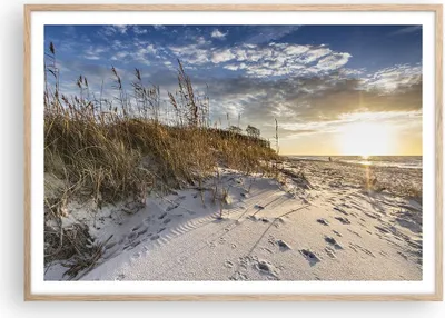 Produktbild von Gerahmtes Poster - Rahmen in heller Eiche - Sand Gras Meer - 100x70 cm - Wand Bild - Wanddeko - Wandbilder - Kunstposter - Wandposter - Bilderrahmen - Bilder - Kunstdruck - P2NAA100x70-4781