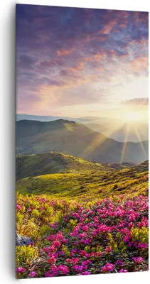 Produktbild von Bild auf Leinwand - Leinwandbild - Gebirge Wiese Landschaft Wald - 65x120cm - Wand Bild - Wanddeko - Leinwanddruck - Bilder - Kunstdruck - Wanddekoration - Leinwand bilder - Wandkunst - PA65x120-3152