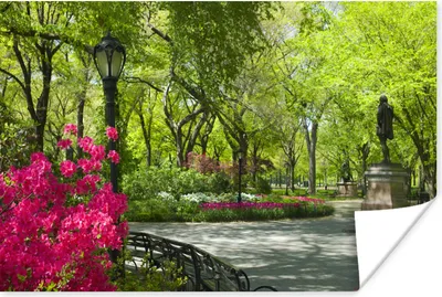 Produktbild von MuchoWow® Poster New York - Central Park - Pflanzen 180x120 cm - Fotoplakat