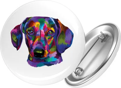 Produktbild von Huuraa Button Dackel Colorful 59mm rund mit Sicherheitsnadel Ansteckbutton Geschenkidee