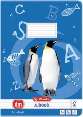 Produktbild von herlitz Schulheft x.book DIN A4 Lineatur dm / liniert