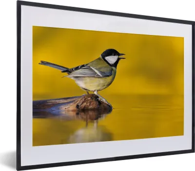 Produktbild von MuchoWow® Gerahmtes Poster Kohlmeise - Vogel - Wasser 40x30 cm - Poster mit Schwarzem Bilderrahmen Wandposter Rahmen Foto Bilder - Bilderrahmen - Poster im Rahmen
