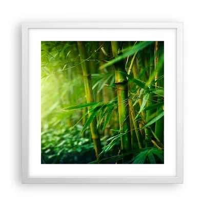 Produktbild von Gerahmtes Poster - Weißer Rahmen - Bambus Pflanze - 40x40 cm - Wand Bild - Wanddeko - Wandbilder - Kunstposter - Wandposter - Bilderrahmen - Bilder - Kunstdruck - Wandbild - P2WAC40x40-3558