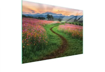 Produktbild von Glasschneidebrett 40x30 cm, extra robust, hygienisch und leicht zu reinigen