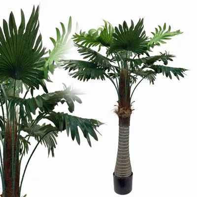 Produktbild von Fächerpalme Königspalme 135 cm künstlich wie echt Kunstpalme Kunstbaum Deko