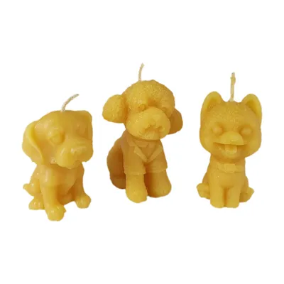 Produktbild von Bienenwachskerzen Hunde Kerzen 3er Set 5 cm Welpe und Pudel – dazu Hund mit Halsband