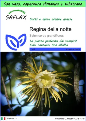 Immagine prodotto di SAFLAX Garden to go - Regina della notte - 40 semi - Selenicerus