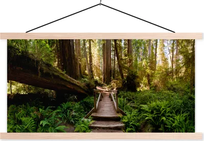 Produktbild von MuchoWow® Textilposter Dschungel - Natur - Treppe - Bäume 60x30 cm mit holzfarbenen Rahmen - Dekoration