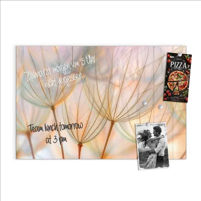 Produktbild von Magnettafel 60x40cm Pinnwand Whiteboard beschreibbar - Pusteblumen Kunst